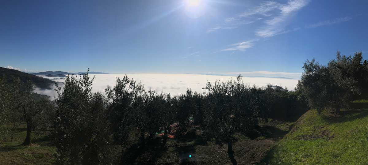 panorama nella nebbia podere fioretto buggiano