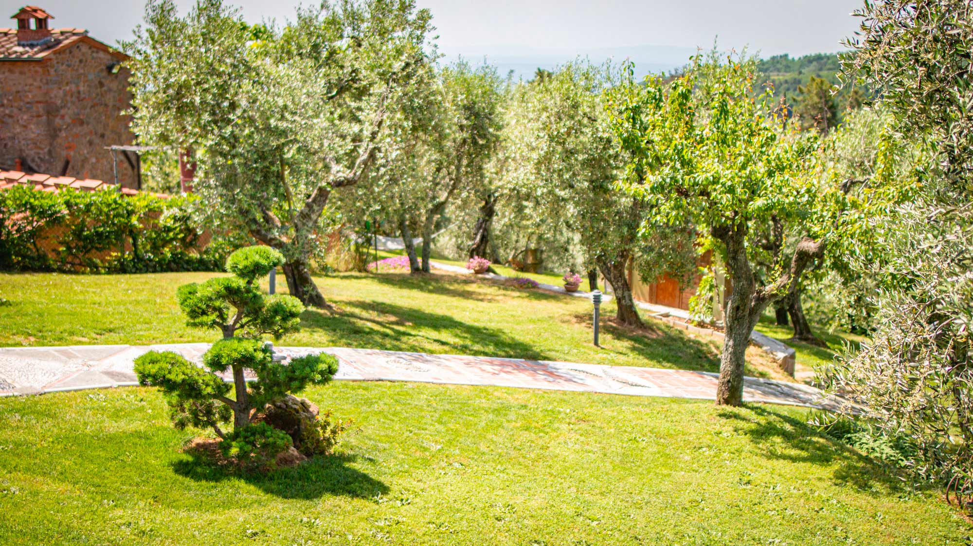 podere fioretto casa vacanze con piscina in Toscana 3