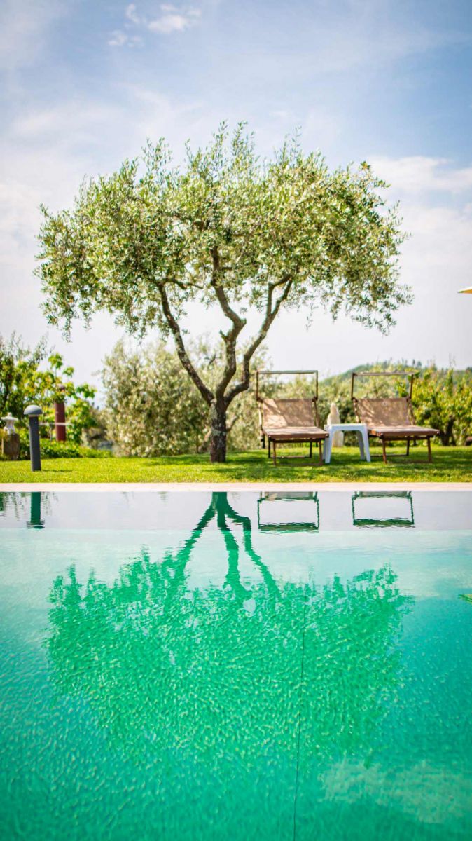 piscina fioretto casa de vacaciones toscana 2