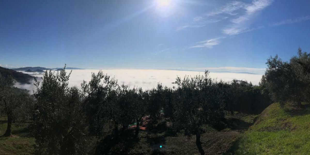 panorama nella nebbia podere fioretto buggiano